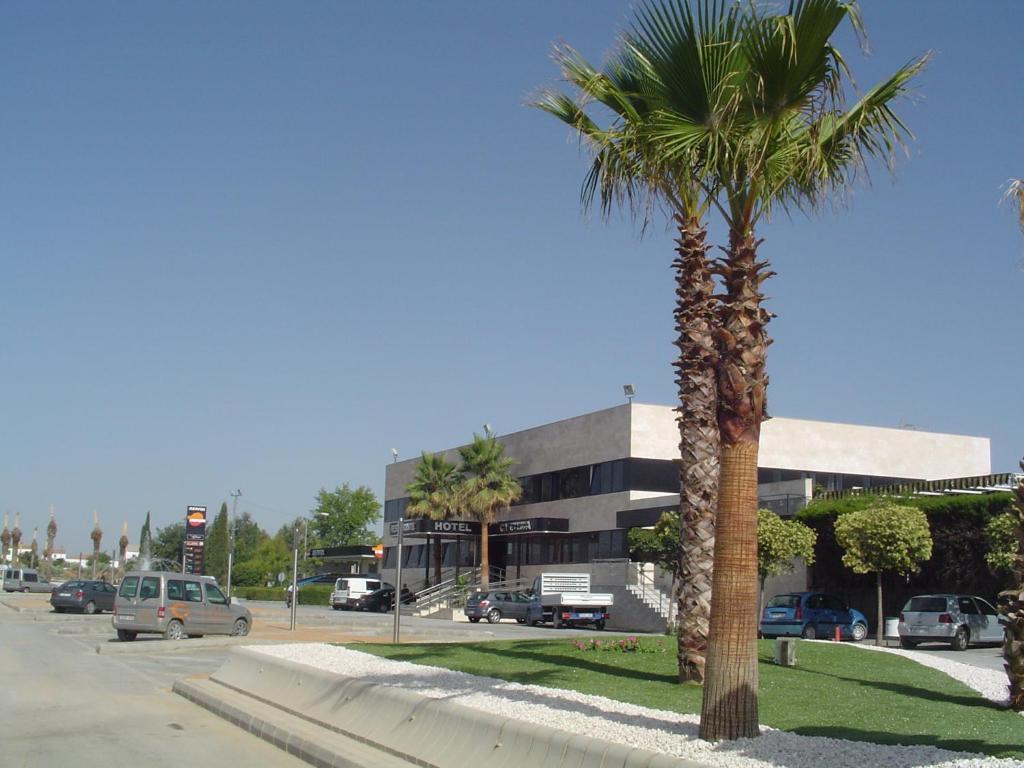 Moraleda De Zafayona Hotel Paraiso Granada מראה חיצוני תמונה